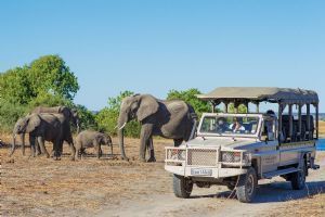 Chobe Game Lodge