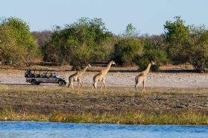 Chobe Game Lodge