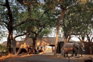 Belmond Eagle Island Lodge