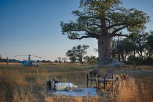 Belmond Eagle Island Lodge