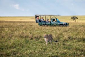 Elewana Elephant Pepper Camp