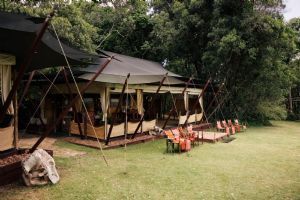 Elewana Elephant Pepper Camp