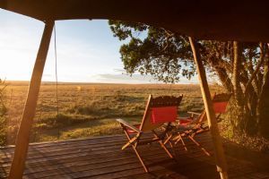 Elewana Elephant Pepper Camp