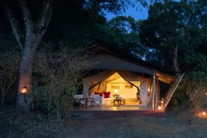 Elewana Elephant Pepper Camp