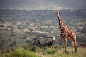 Elewana Loisaba Tented Camp