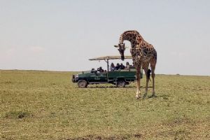 Elewana Sand River Masai Mara