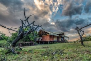 Elewana Serengeti Migration Camp