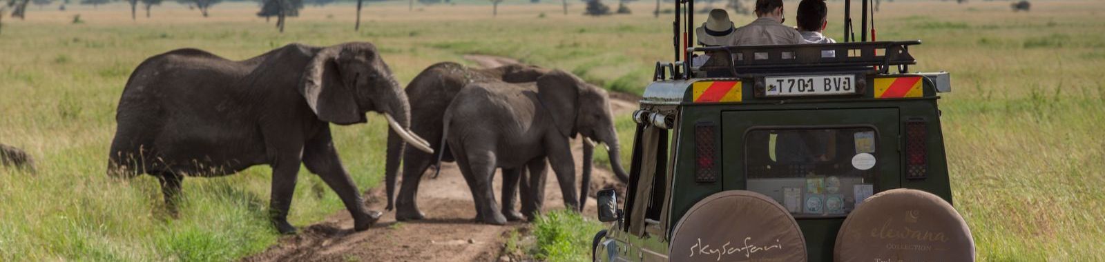 Elewana Serengeti Pioneer Camp