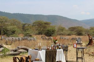 Elewana The Manor at Ngorongoro