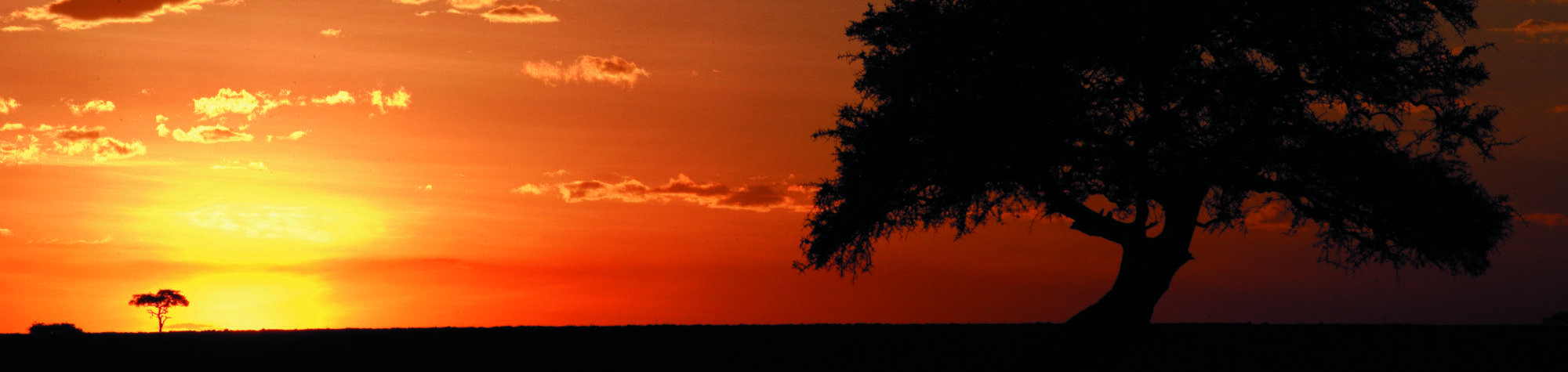 Fairmont Mara Safari Club