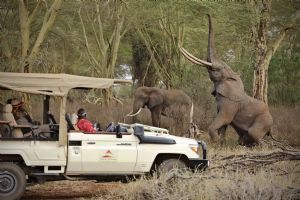 Finch Hattons Luxury Tented Camp