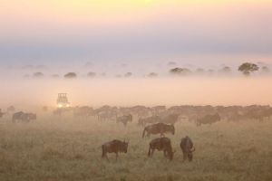 Four Seasons Safari Lodge Serengeti