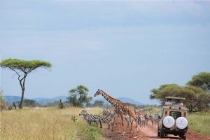 Four Seasons Safari Lodge Serengeti