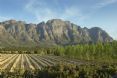 Franschhoek Country House & Villas