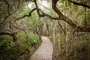 Grootbos Nature Reserve - Forest Lodge