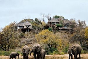 Leopard Hills Private Game Reserve