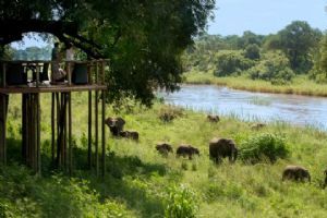 Lion Sands Narina Lodge