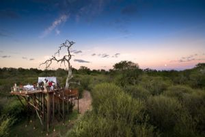 Lion Sands Tree Houses