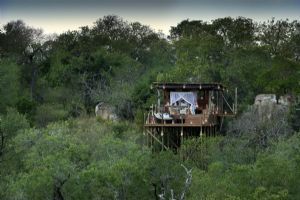 Lion Sands Tree Houses