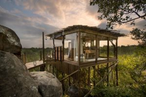 Lion Sands Tree Houses