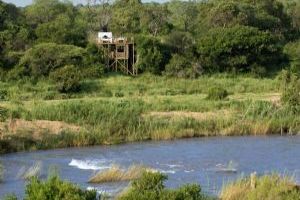 Lion Sands Tree Houses