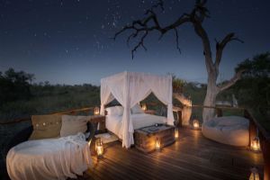 Lion Sands Tree Houses