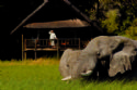 Belmond Khwai River Lodge