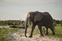 Belmond Savute Elephant Lodge