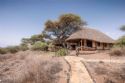 Tortilis Camp