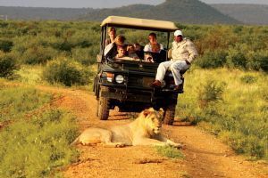 Madikwe Hills Private Game Lodge