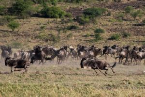 Mahali Mzuri