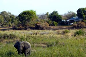 MalaMala Sable Camp