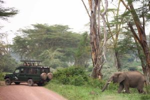 &Beyond Ngorongoro Crater Lodge