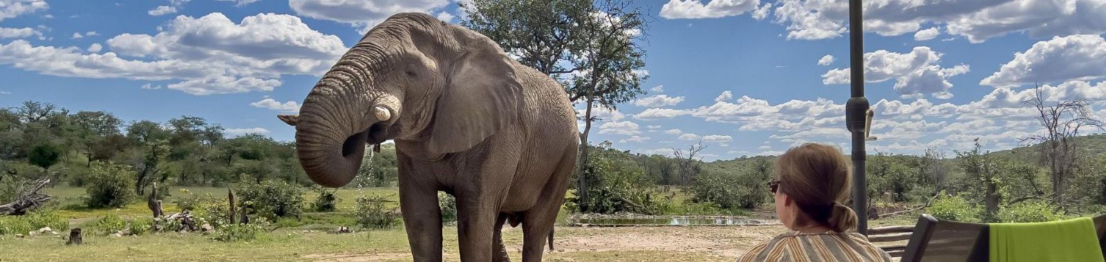 Ongava Tented Camp