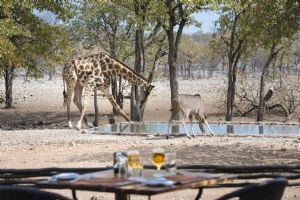 Ongava Tented Camp