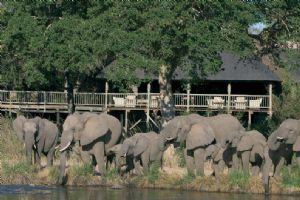 Sabi Sabi Bush Lodge