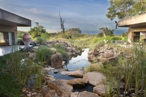 Sabi Sabi Earth Lodge