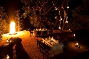 Sabi Sabi Little Bush Camp