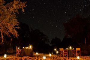 Sabi Sabi Little Bush Camp