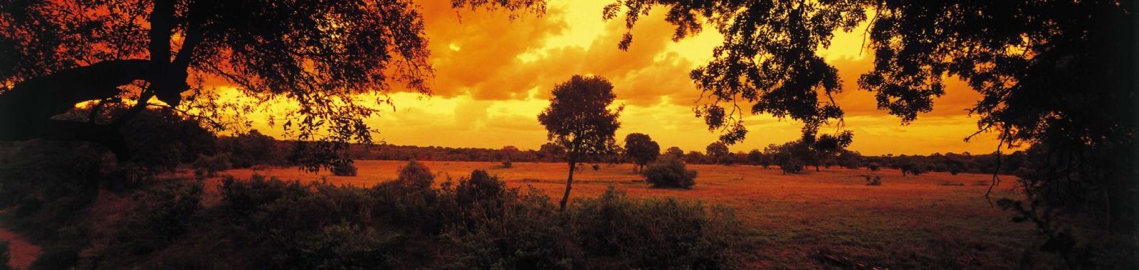 Sabi Sabi Selati Camp