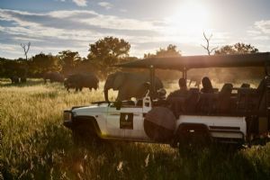 Sanctuary Chobe Chilwero