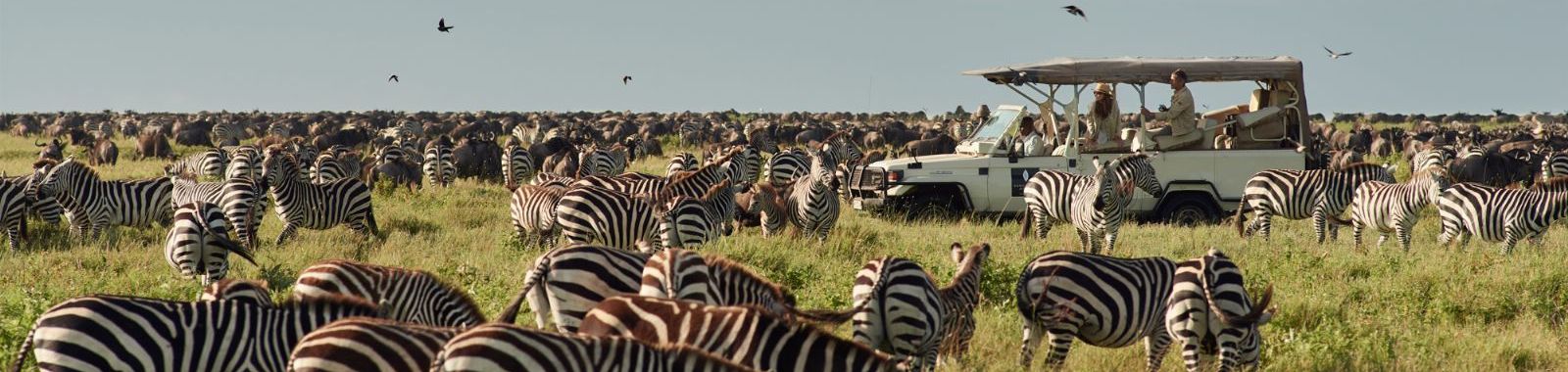 Sanctuary Kichakani Serengeti Camp