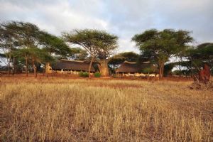 Sanctuary Swala