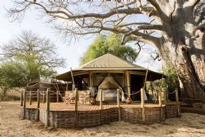 Sanctuary Swala