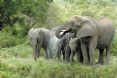 Savanna Private Game Reserve
