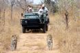 Savanna Private Game Reserve