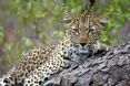 Savanna Private Game Reserve