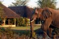 Savanna Private Game Reserve