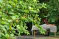 Savanna Private Game Reserve
