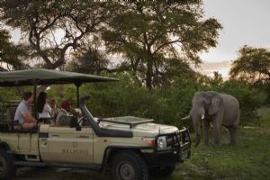 Belmond Savute Elephant Lodge